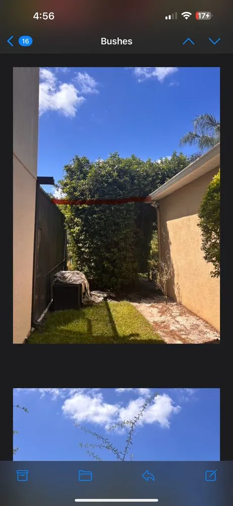 Affordable outdoor landscaping in Wesley Chapel, FL - Lawn Enforcement Property Management