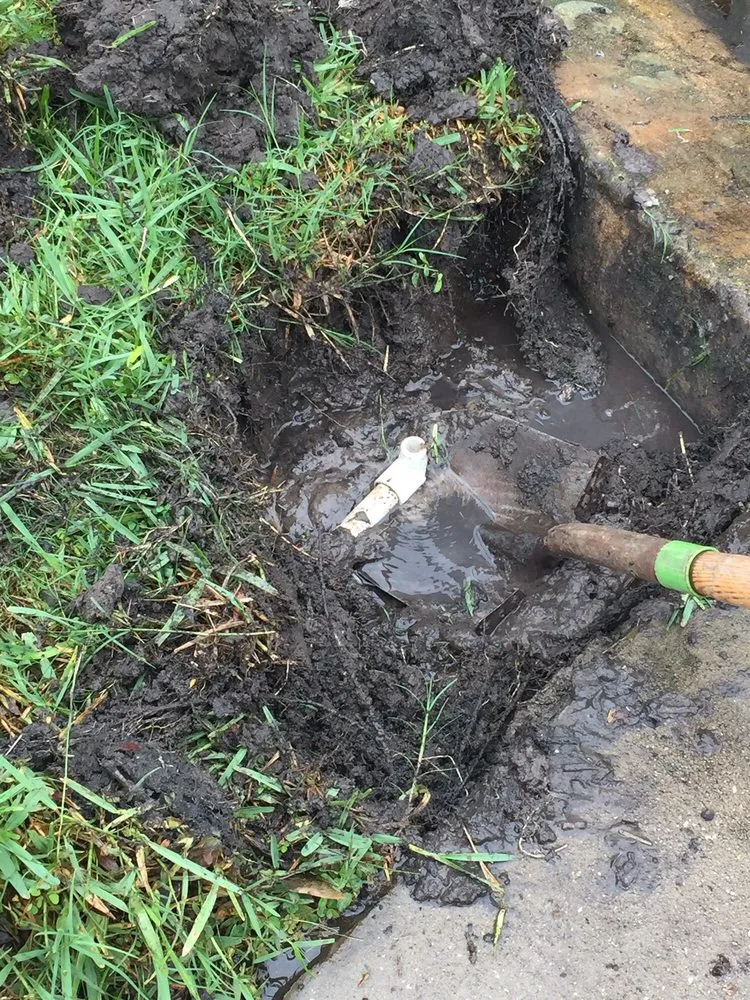 Affordable residential landscaping experts serving Wesley Chapel, FL - Lawn Enforcement Property Management