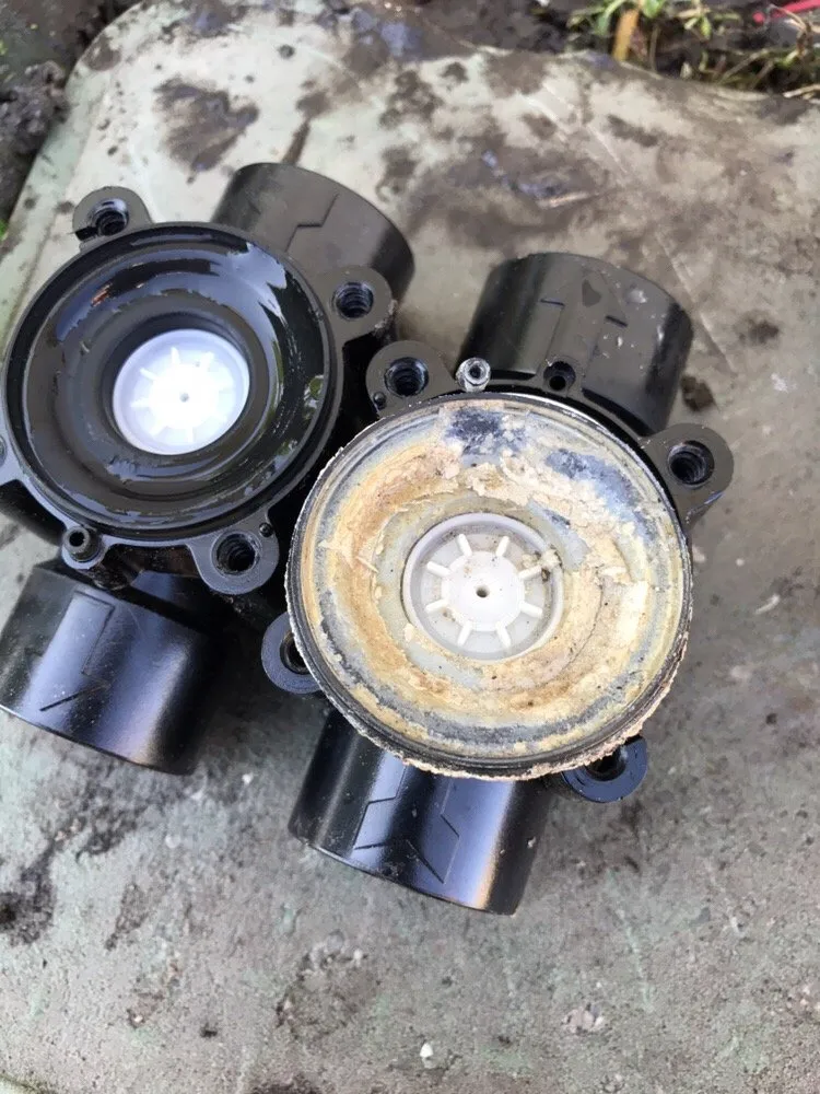 Trusted yard maintenance for residential properties across Wesley Chapel, FL - Lawn Enforcement Property Management