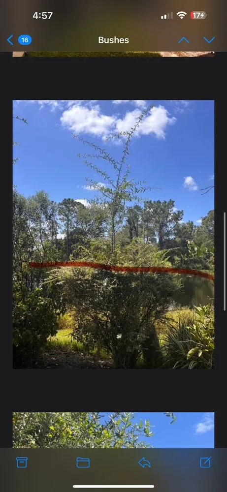 Professional landscaping services for residential properties in Wesley Chapel, FL by Lawn Enforcement Property Management