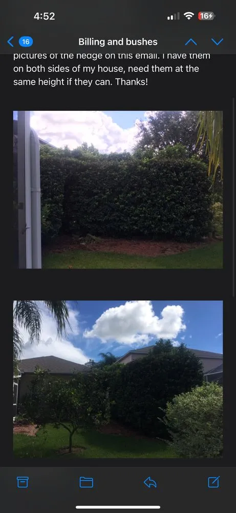 Custom landscape installation in Wesley Chapel, FL - Lawn Enforcement Property Management