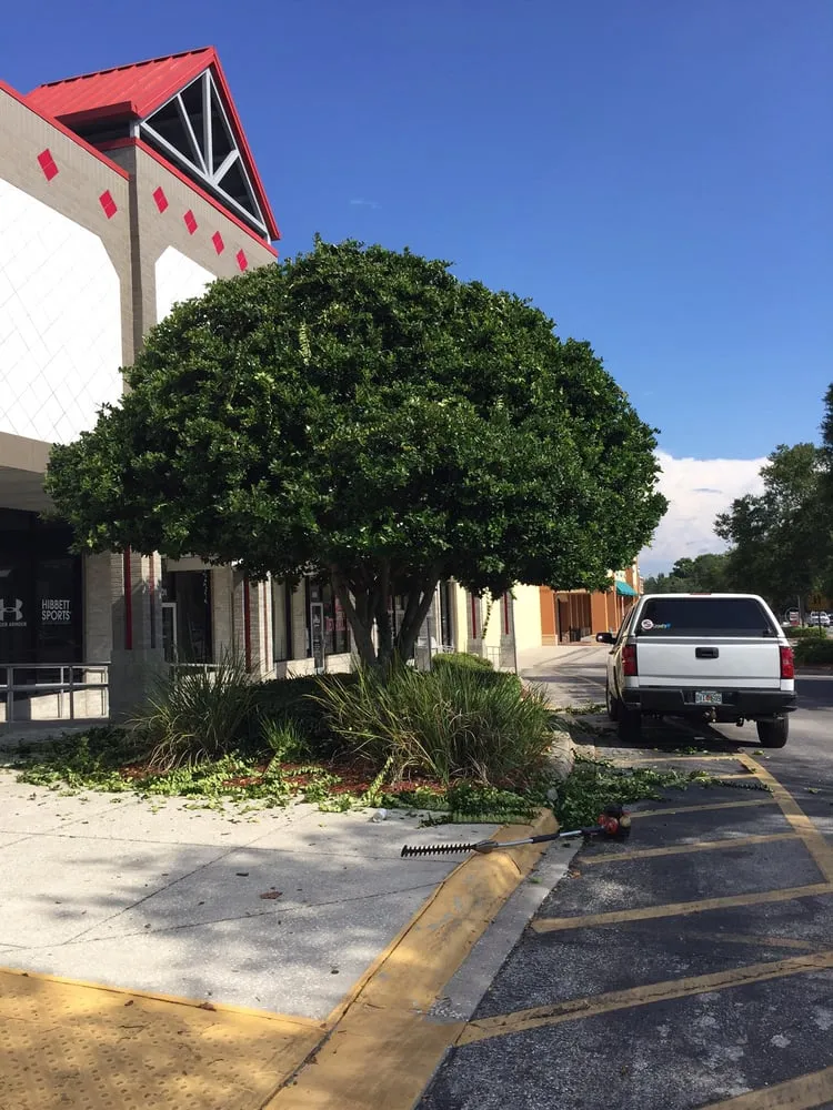 Affordable landscape design in Wesley Chapel, FL by Lawn Enforcement Property Management