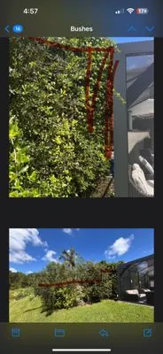 Lawn Enforcement Property Management