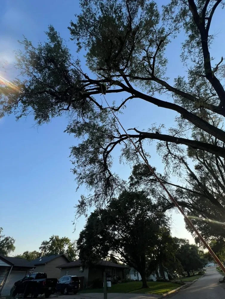 Top-rated landscape design in San Antonio, TX - Lawn Enforcement