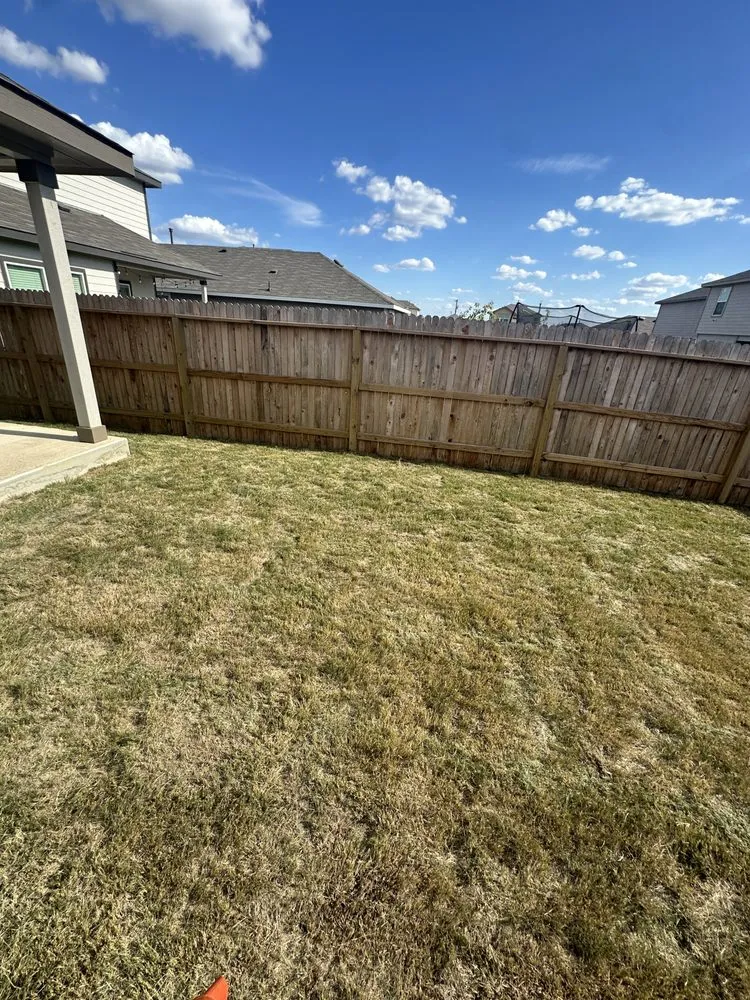 Professional outdoor landscaping for year-round maintenance in San Antonio, TX by Lawn Enforcement