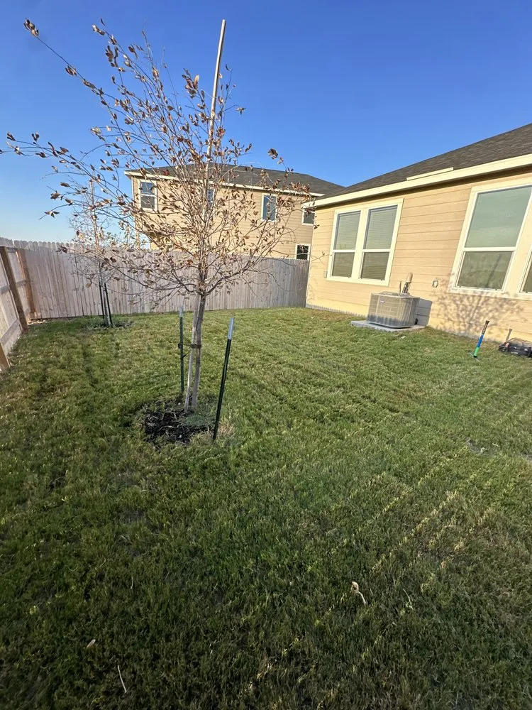 Reliable landscape design in San Antonio, TX by Lawn Enforcement