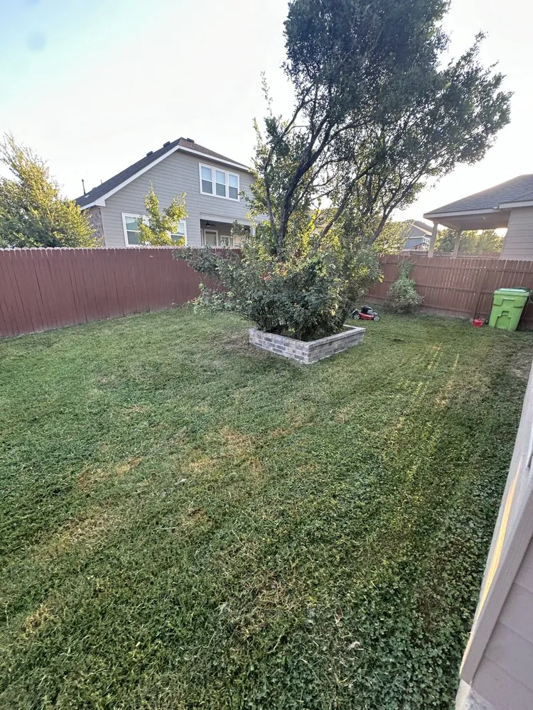 Expert lawn mowing service in San Antonio, TX - Lawn Enforcement