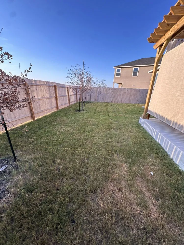 Local yard cleanup service in San Antonio, TX by Lawn Enforcement