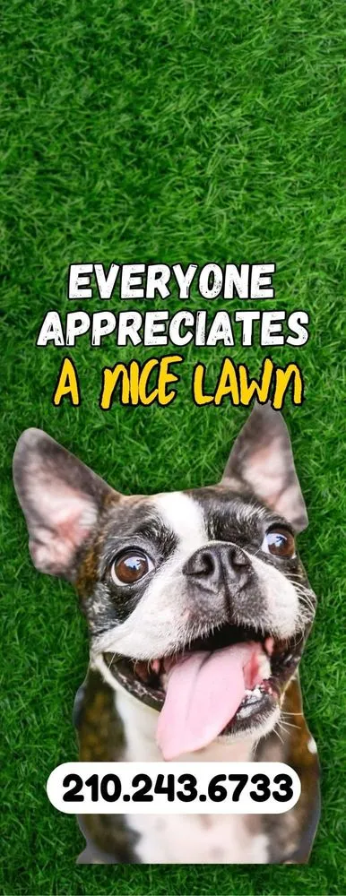 Trusted landscape design for year-round maintenance across San Antonio, TX - Lawn Enforcement