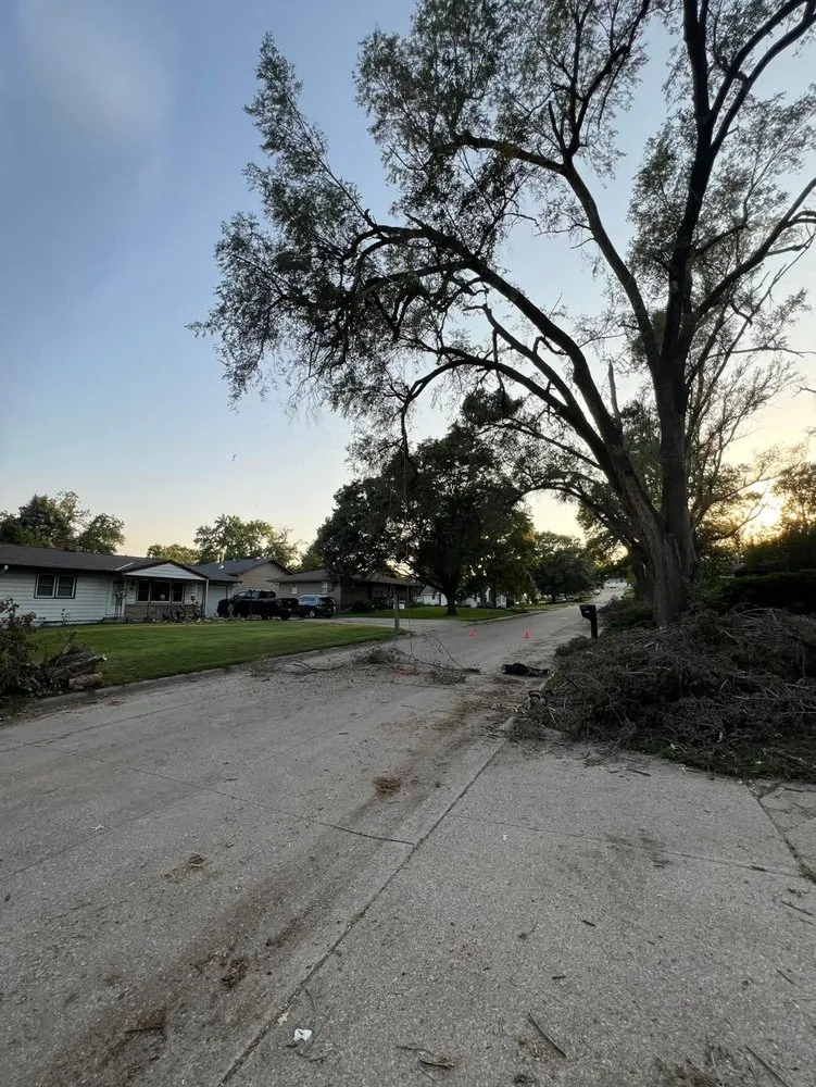 Professional landscape design for outdoor upgrades across San Antonio, TX - Lawn Enforcement