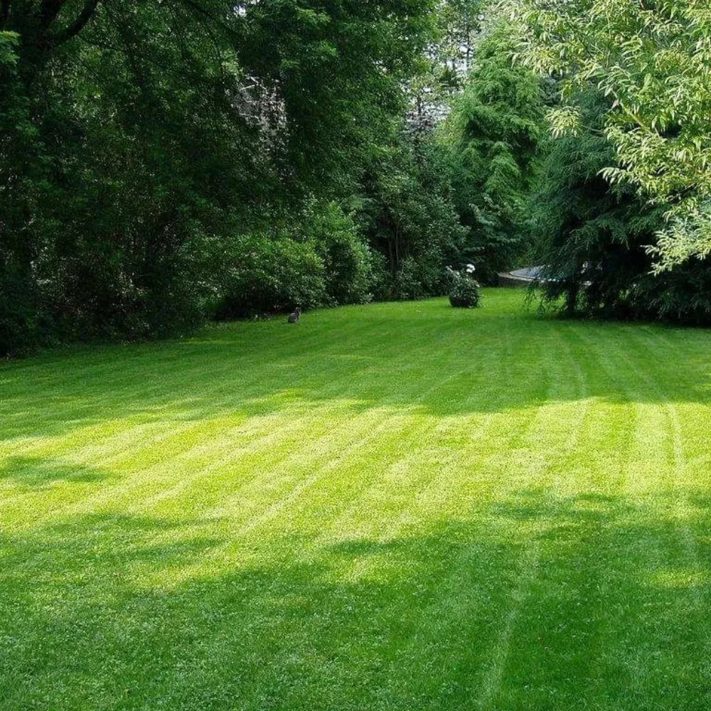 Expert landscape design experts serving Osceola, IN - Lawn Enforcement: SGU