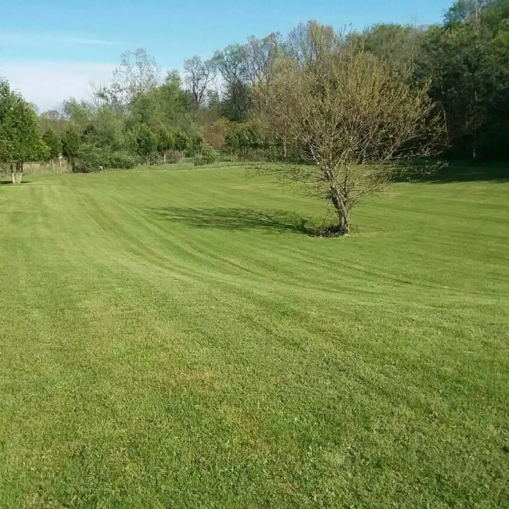 Affordable landscape installation in Osceola, IN by Lawn Enforcement: SGU