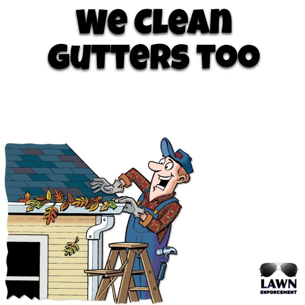 Professional landscaping services experts serving Winnsboro, SC - Lawn Enforcement