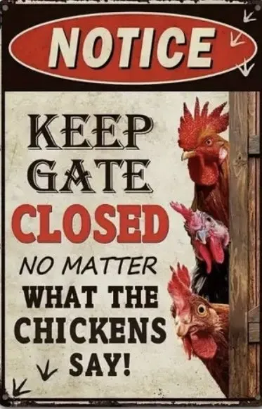 Affordable outdoor landscaping for homes in Albuquerque, NM by Lawn Enforcers