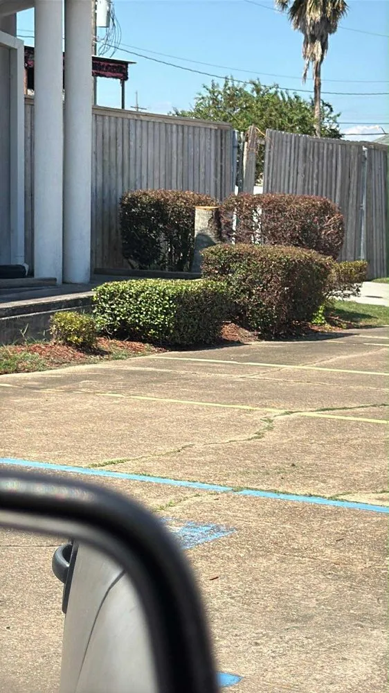 Top-rated landscaping services experts serving Westwego, LA - Lawn Envy