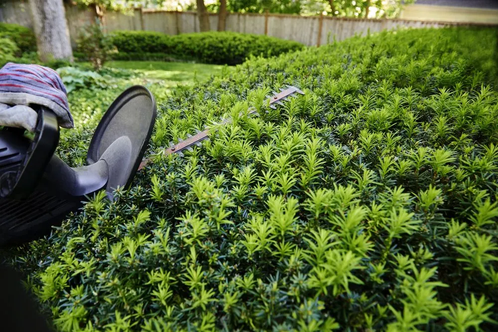 Affordable garden landscaping for homes across Fort Worth, TX - Lawn Escapades & Custom Patio Covers