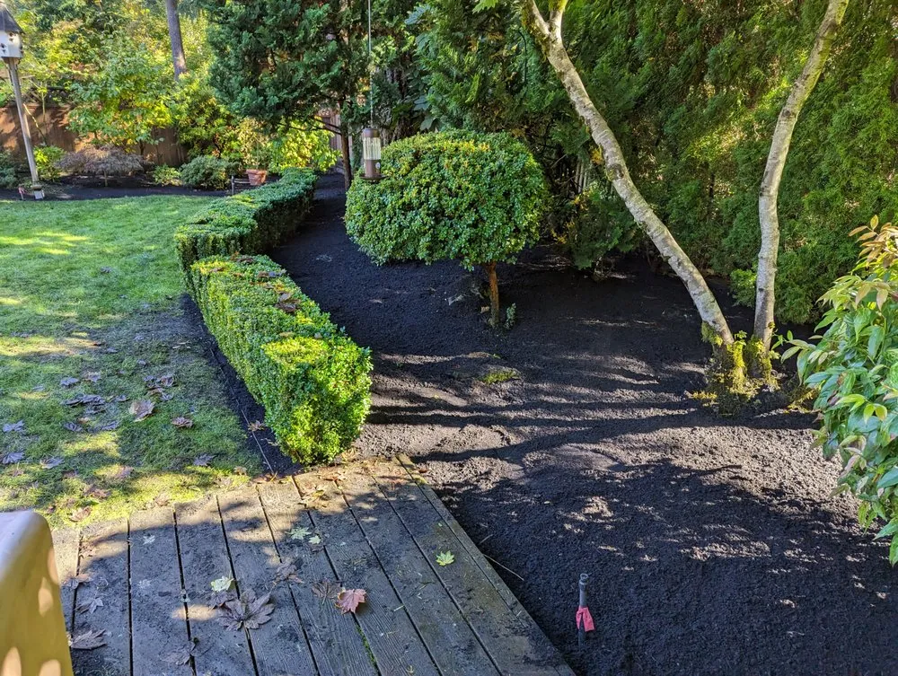 Custom yard cleanup service in Tacoma, WA - Lawn Esthetic