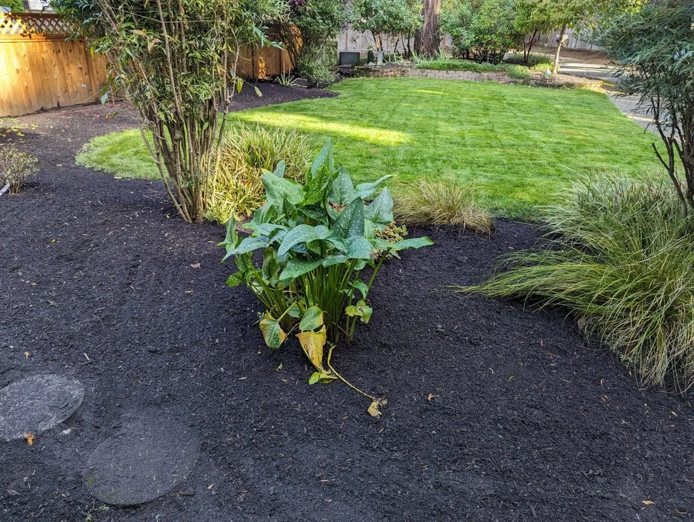 Affordable outdoor landscaping in Tacoma, WA - Lawn Esthetic
