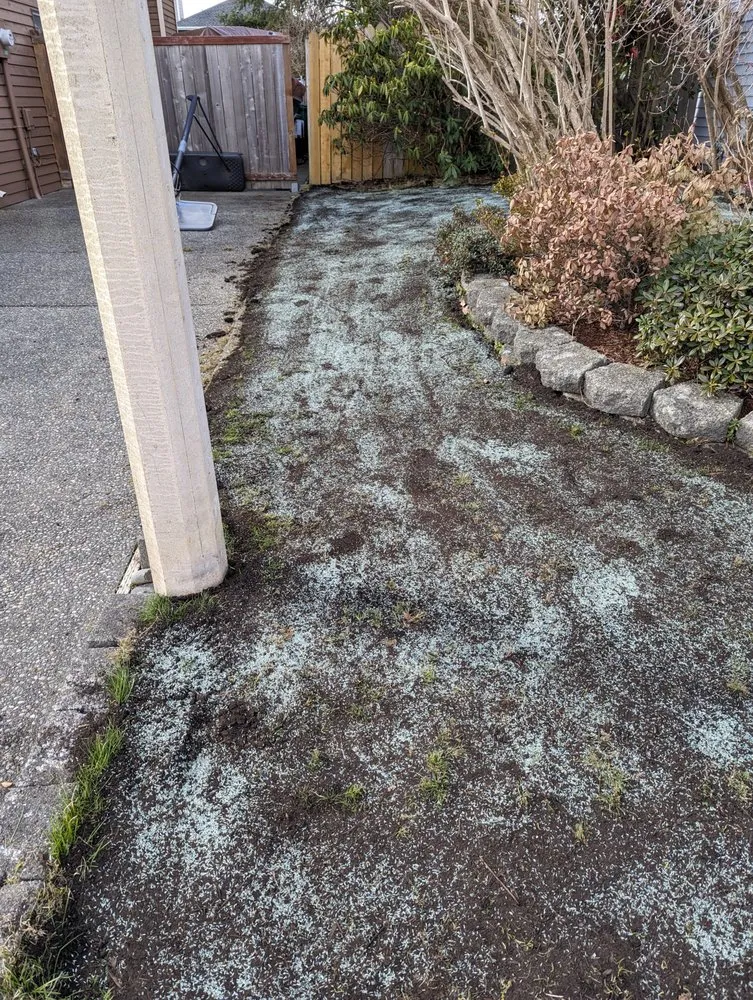 Trusted lawn care service in Tacoma, WA - Lawn Esthetic