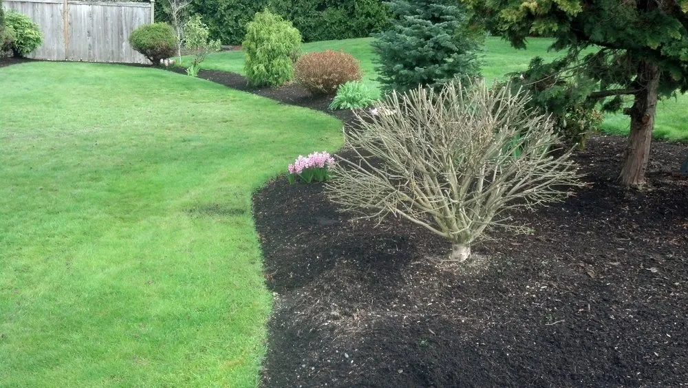 Custom yard cleanup service with custom design across Tacoma, WA - Lawn Esthetic