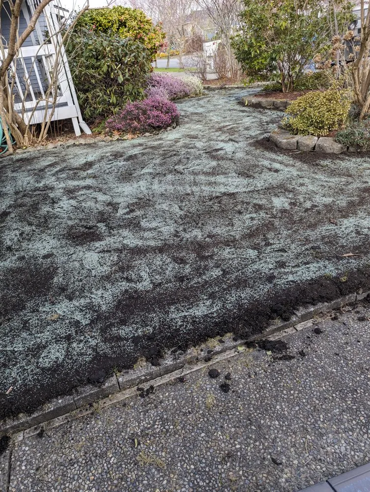 Reliable landscape installation in Tacoma, WA - Lawn Esthetic