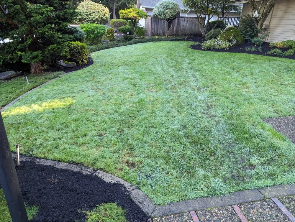 Professional lawn care service for outdoor upgrades in Tacoma, WA by Lawn Esthetic