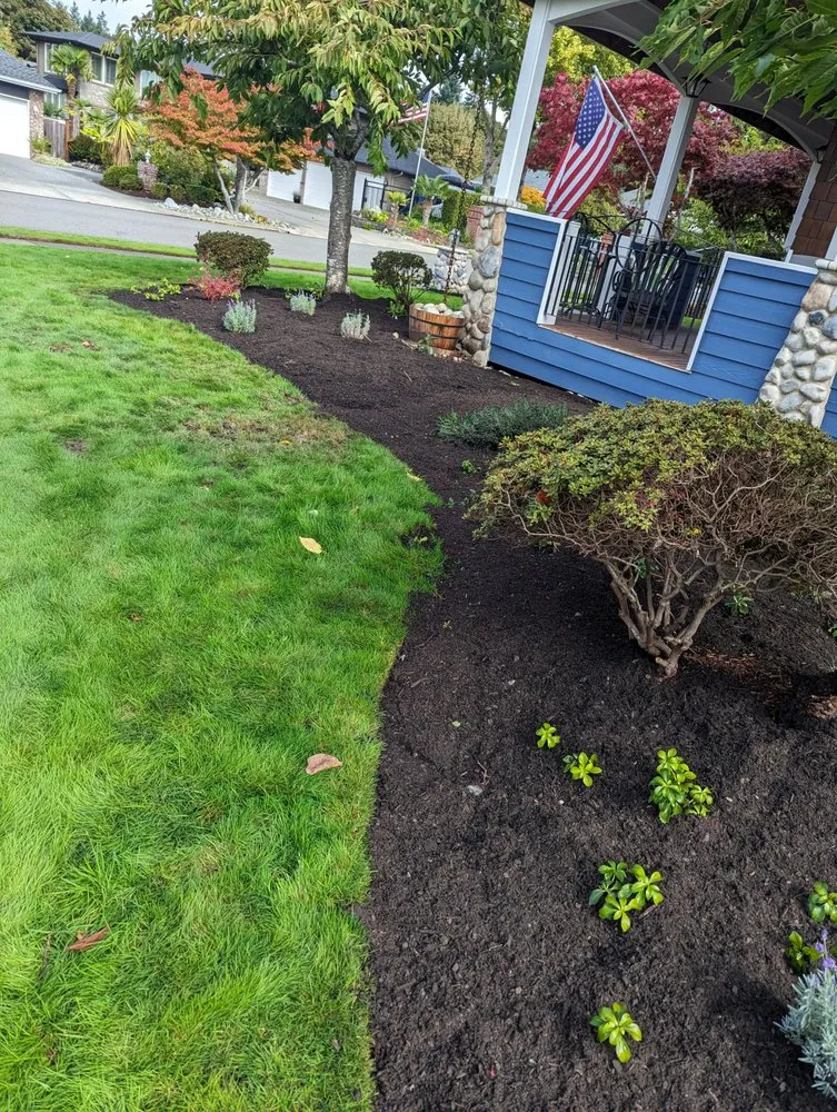 Reliable yard maintenance in Tacoma, WA by Lawn Esthetic