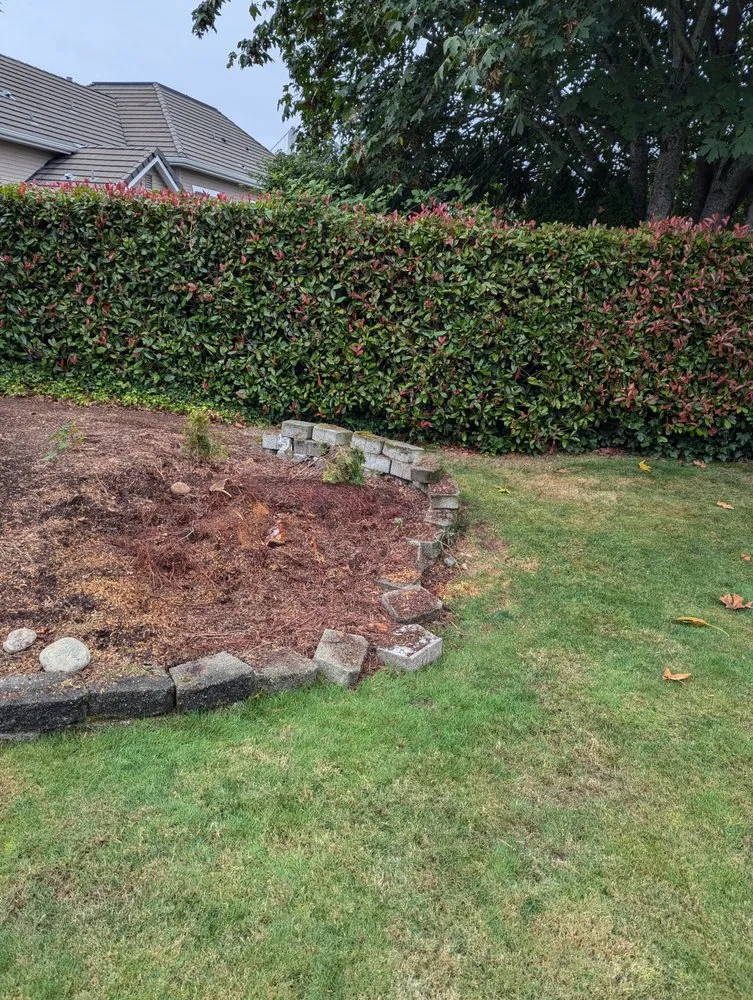 Top-rated yard cleanup service in Tacoma, WA - Lawn Esthetic