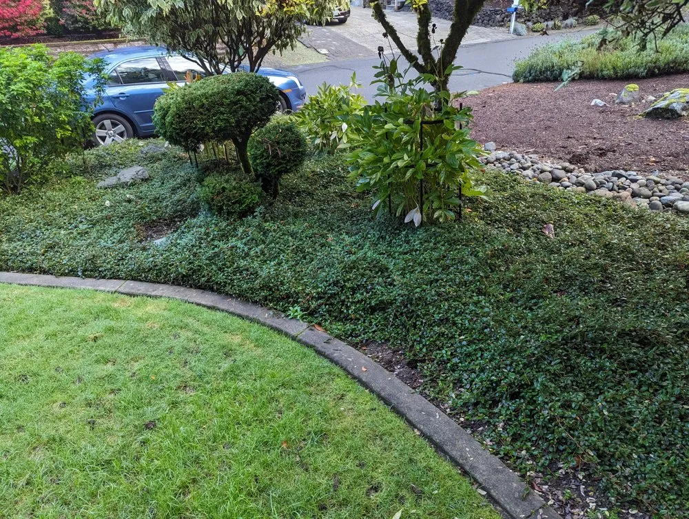 Local yard maintenance experts serving Tacoma, WA - Lawn Esthetic