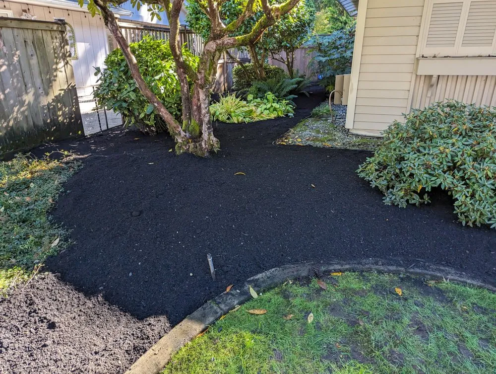 Trusted yard maintenance experts serving Tacoma, WA - Lawn Esthetic