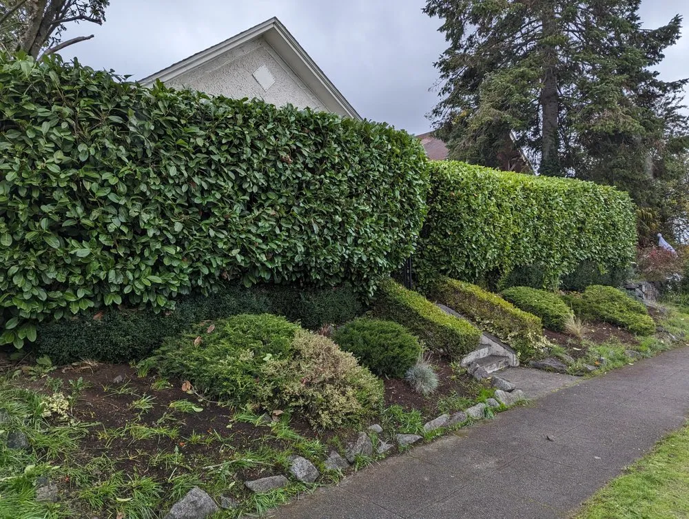 Local garden landscaping in Tacoma, WA - Lawn Esthetic