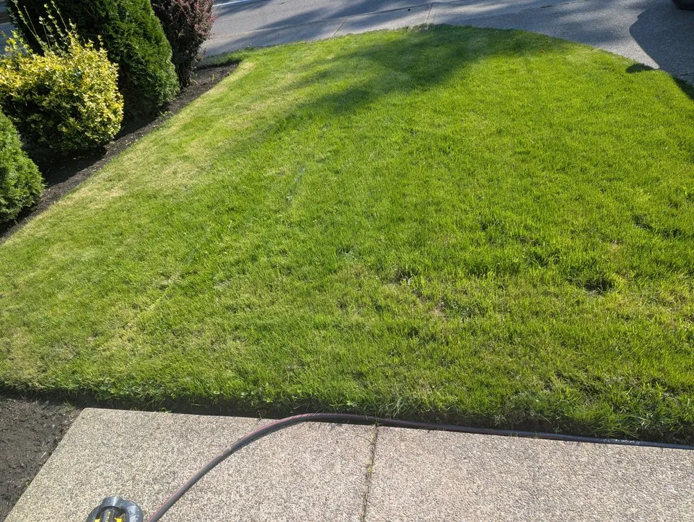 Trusted landscape design for residential properties in Tacoma, WA by Lawn Esthetic
