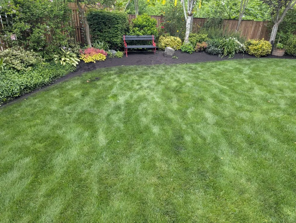 Local outdoor landscaping in Tacoma, WA by Lawn Esthetic