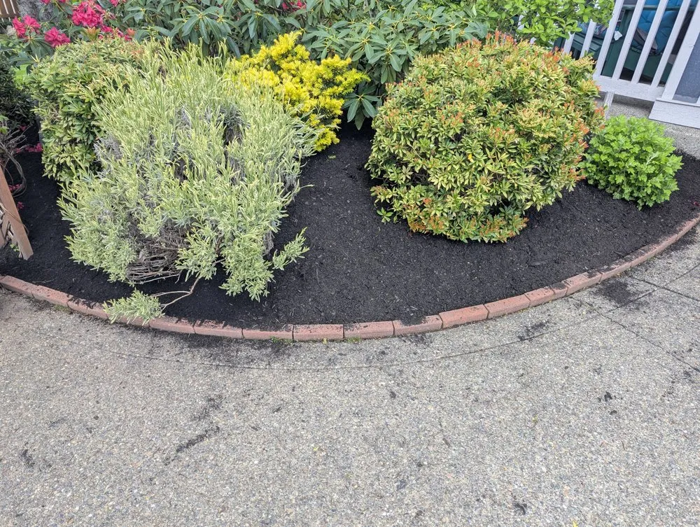 Reliable yard maintenance for outdoor upgrades in Tacoma, WA by Lawn Esthetic