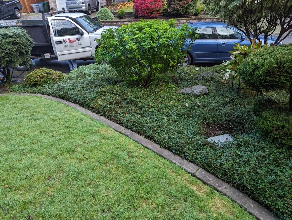 Trusted lawn mowing service in Tacoma, WA - Lawn Esthetic