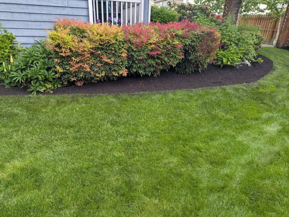 Reliable yard cleanup service in Tacoma, WA - Lawn Esthetic