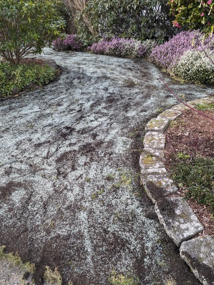 Expert outdoor landscaping in Tacoma, WA - Lawn Esthetic