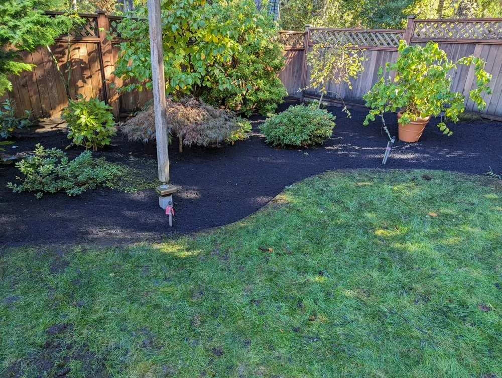 Reliable landscape installation in Tacoma, WA - Lawn Esthetic