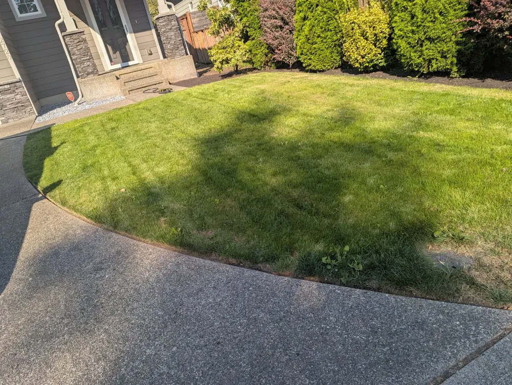 Professional yard cleanup service for outdoor upgrades across Tacoma, WA - Lawn Esthetic