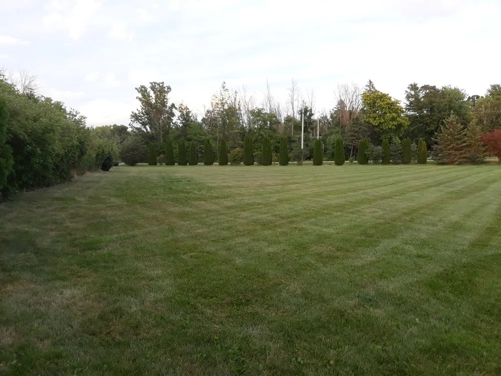 Affordable landscaping services experts serving Cedarburg, WI - Lawn Expert