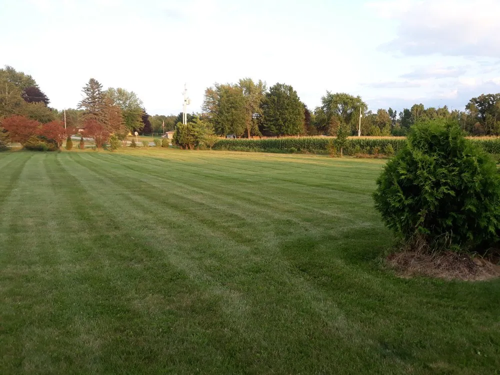 Top-rated landscape design experts serving Cedarburg, WI - Lawn Expert