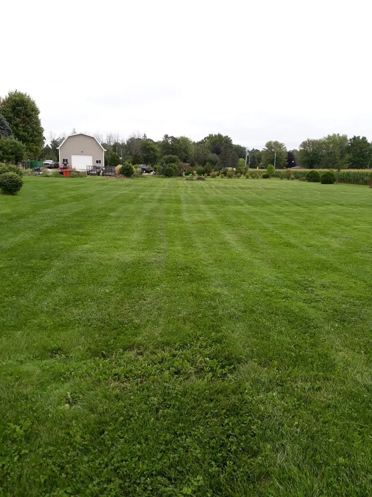 Affordable landscaping services in Cedarburg, WI - Lawn Expert