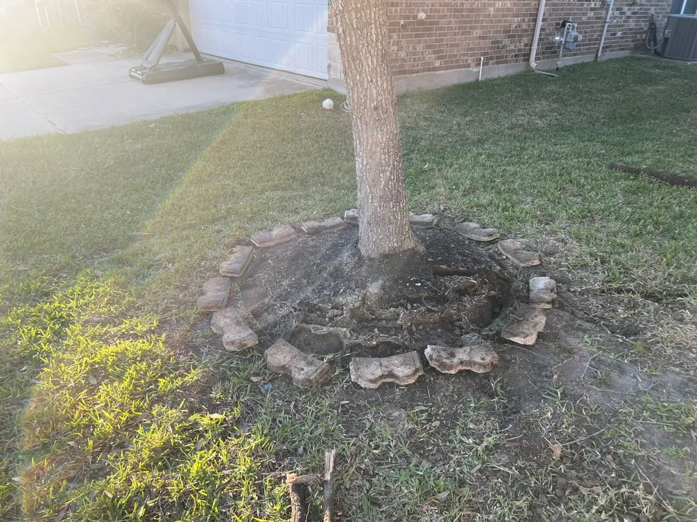 Custom landscape installation in Houston, TX - Lawn Experts