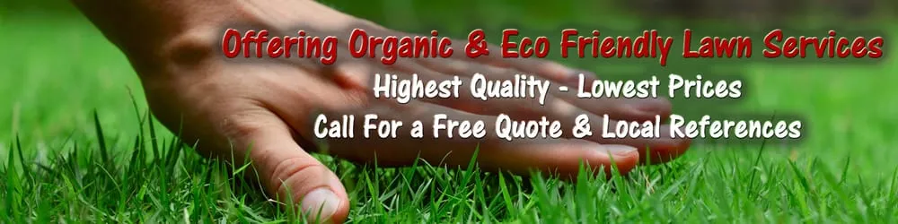 Reliable garden landscaping for year-round maintenance across Walcott, IA - Lawn Experts