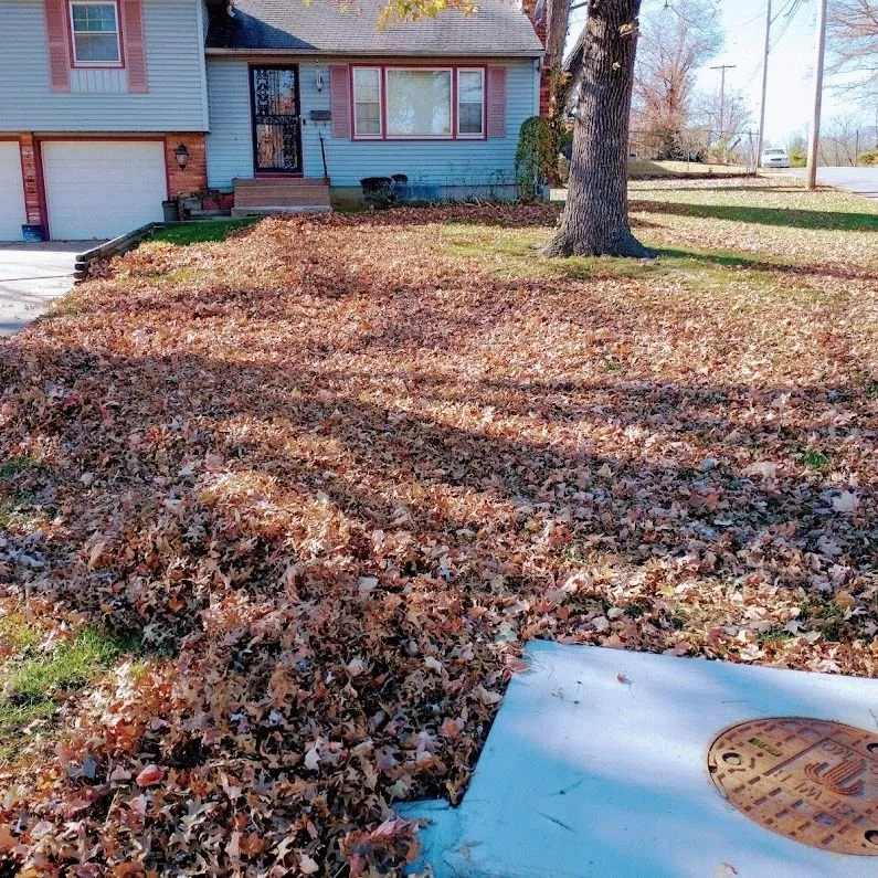 Expert outdoor landscaping for beautiful yards in Kansas City, MO by Lawn Expressions