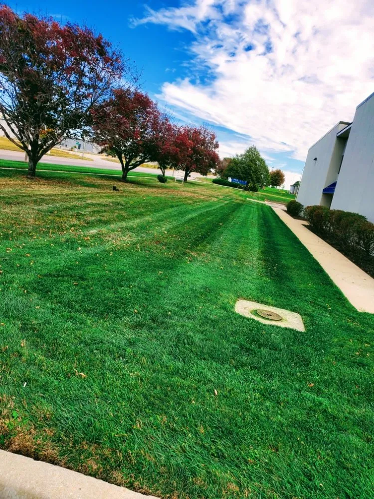 Affordable lawn mowing service experts serving Kansas City, MO - Lawn Expressions