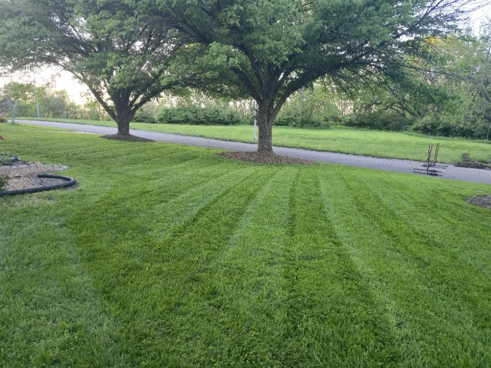 Reliable lawn mowing service with custom design across Kansas City, MO - Lawn Expressions