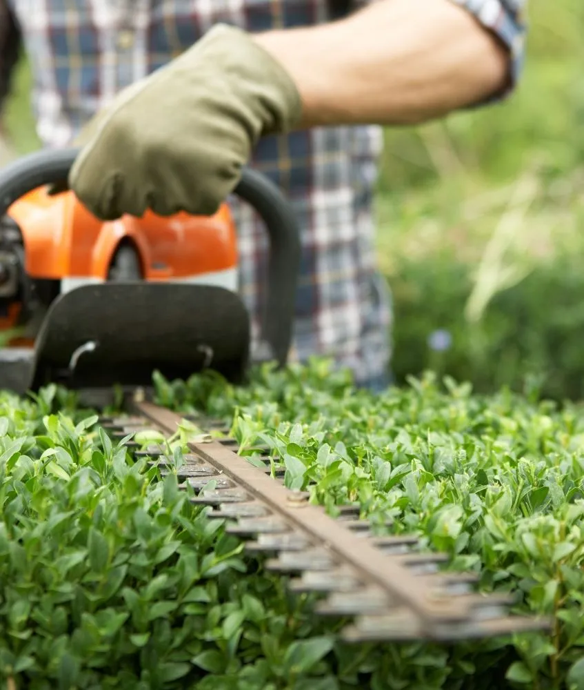 Trusted outdoor landscaping in Kansas City, MO - Lawn Expressions