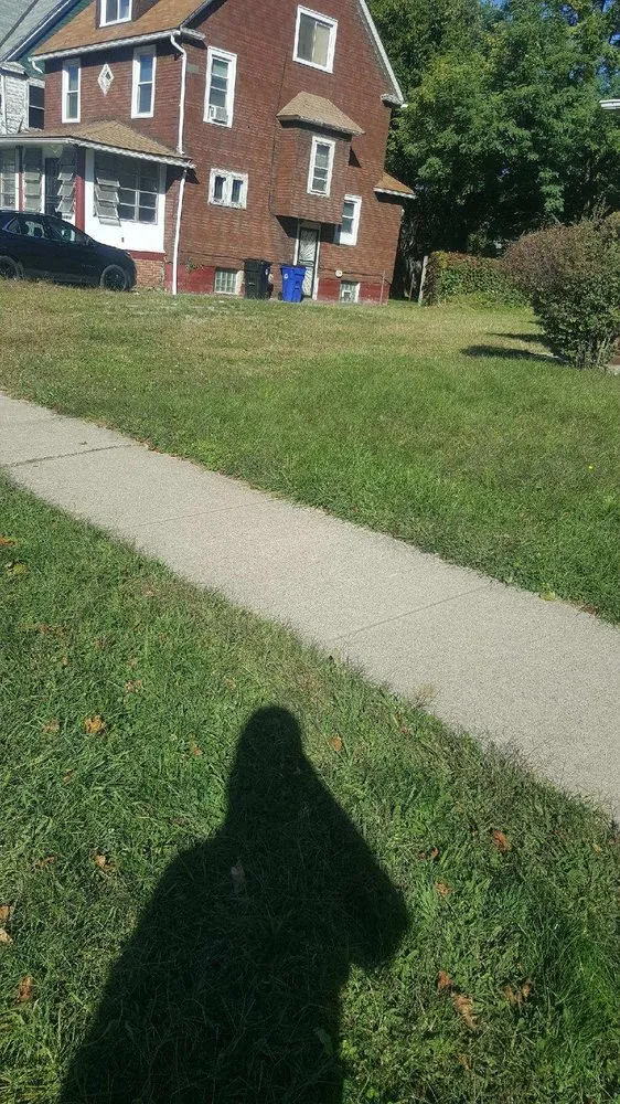 Reliable yard cleanup service experts serving Cleveland, OH - Lawn Expressos