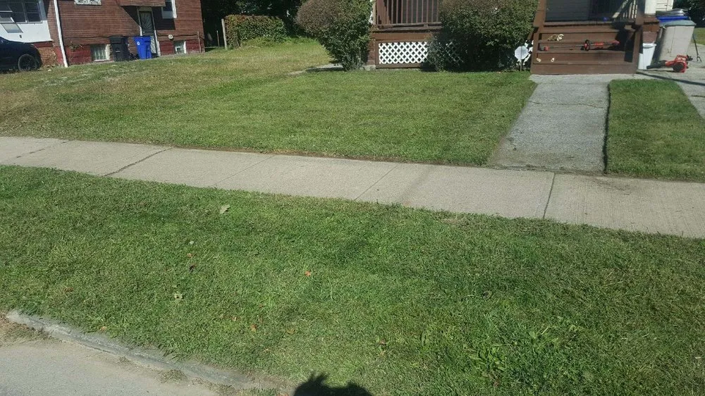 Professional yard cleanup service in Cleveland, OH - Lawn Expressos